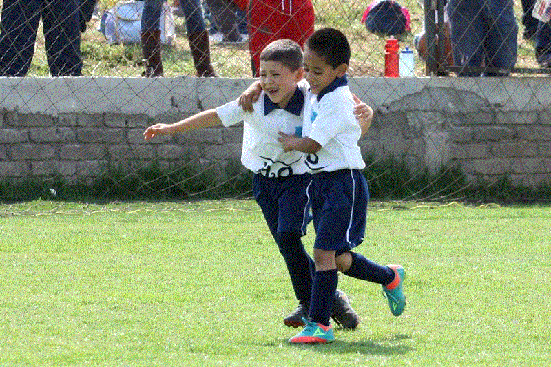 TEMPORADA 2012 - 2013