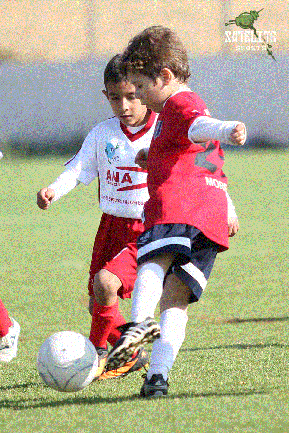 TEMPORADA 2013 - 2014