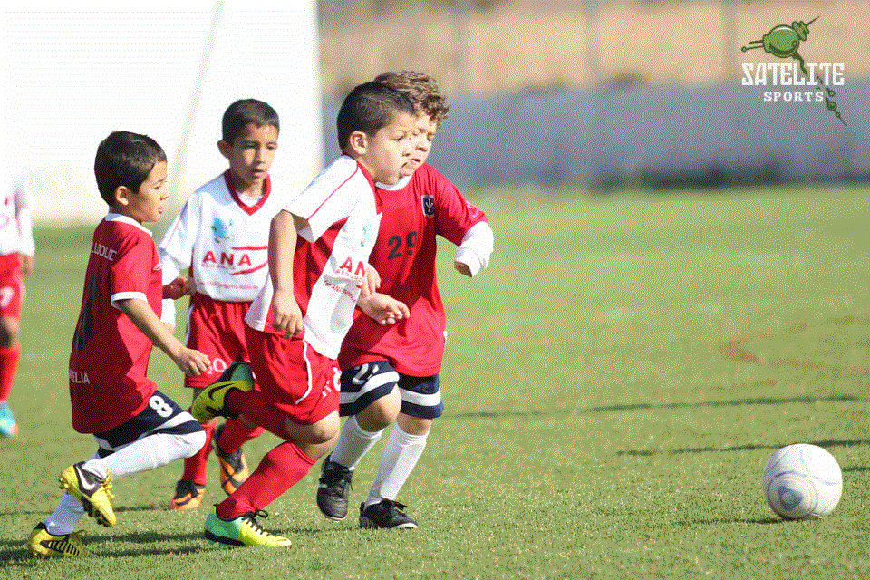 TEMPORADA 2013 - 2014