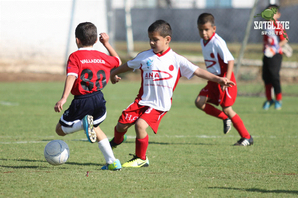 TEMPORADA 2013 - 2014