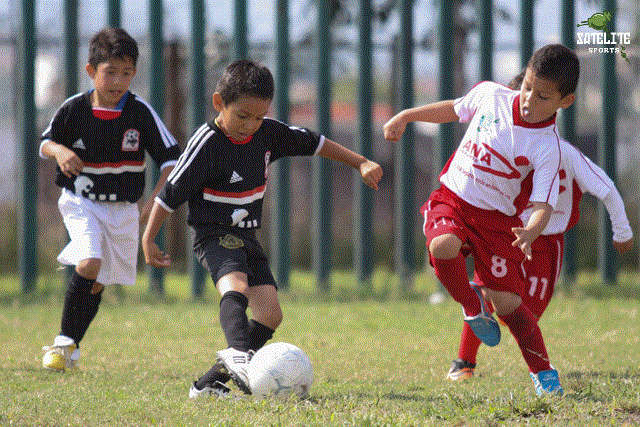 TEMPORADA 2013 - 2014