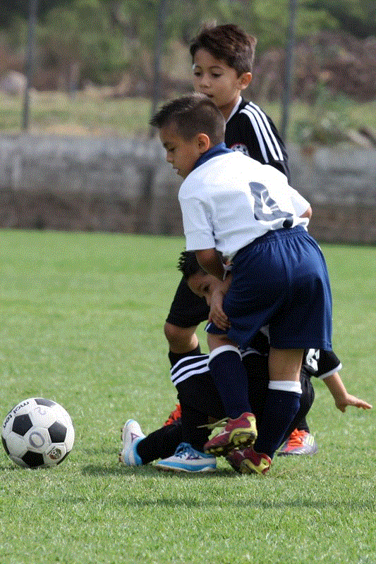TEMPORADA 2012 - 2013