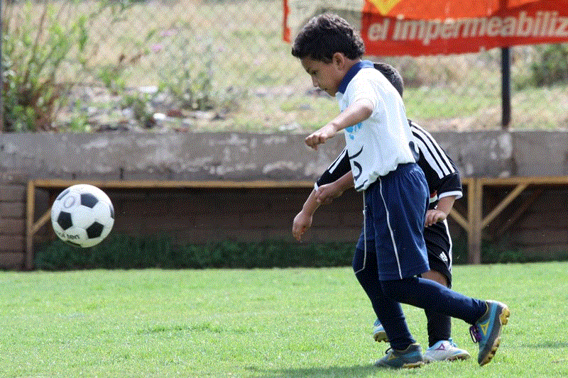 TEMPORADA 2012 - 2013