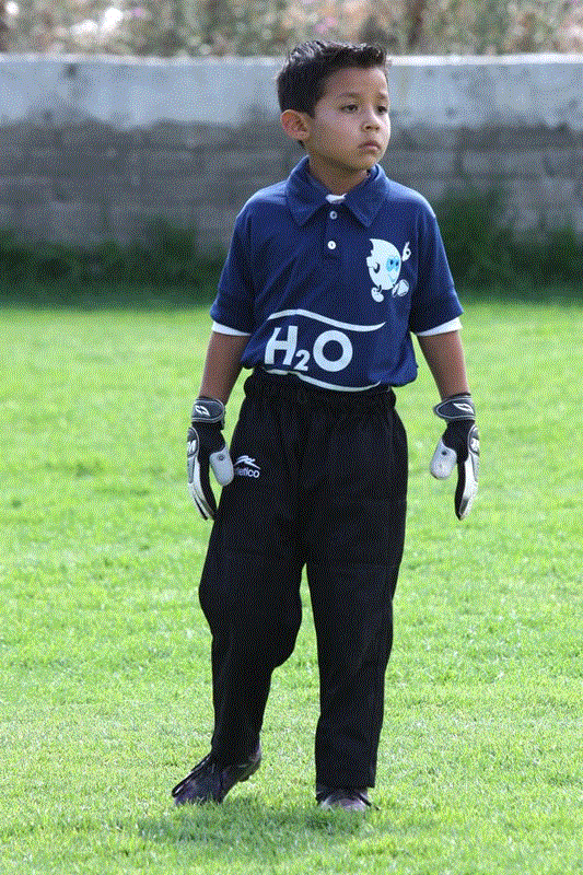 TEMPORADA 2012 - 2013